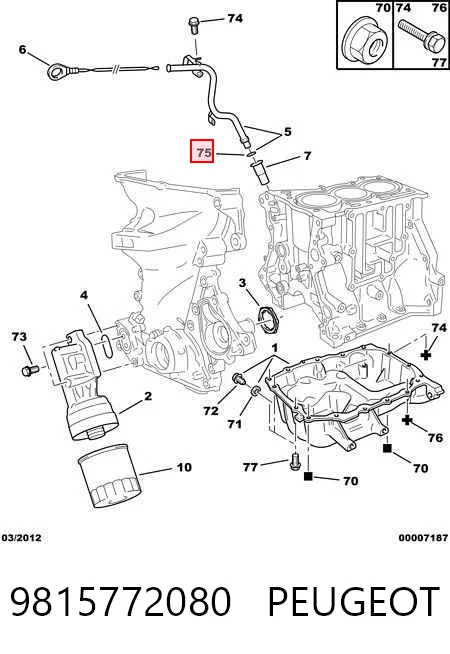 9815772080 Peugeot/Citroen