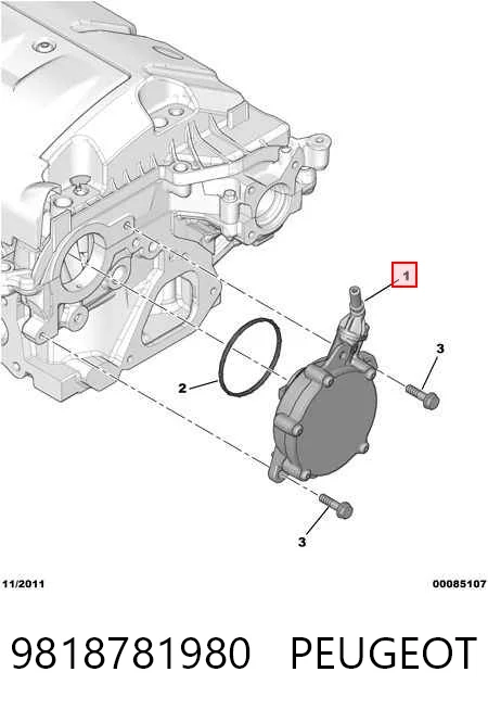9818781980 Peugeot/Citroen Bomba de vacío de frenado