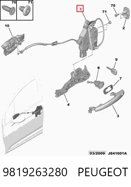 9819263280 Peugeot/Citroen
