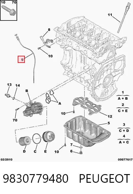 9830779480 Peugeot/Citroen