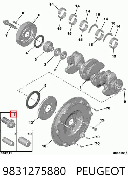 9831275880 Peugeot/Citroen