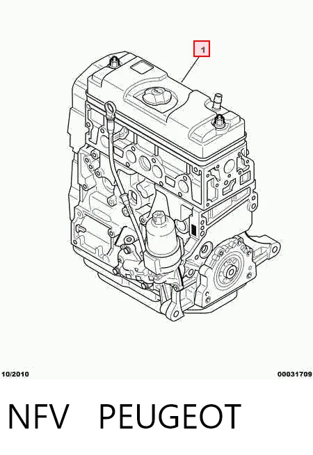 NFV Peugeot/Citroen Motor completo