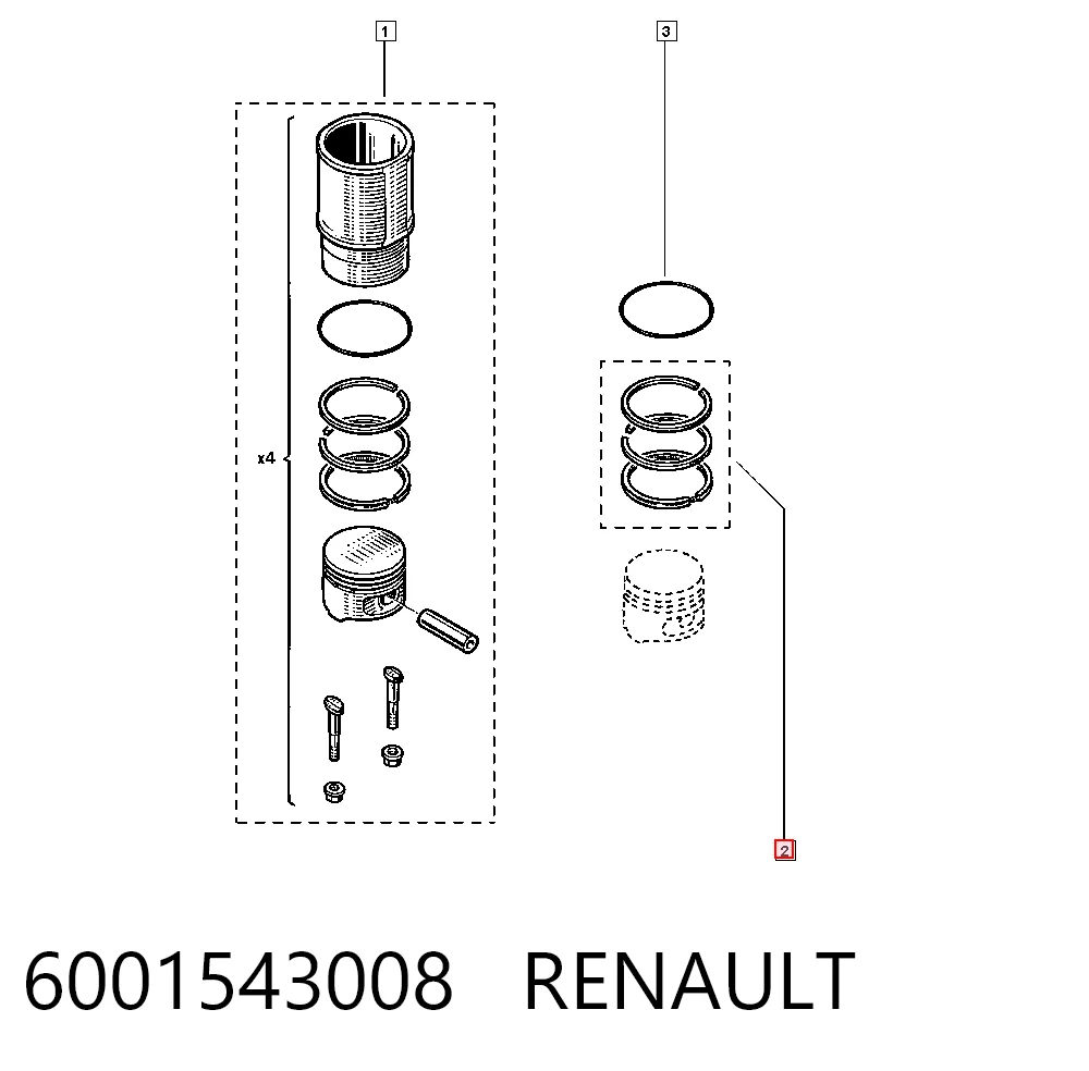 6001543008 Renault (RVI)