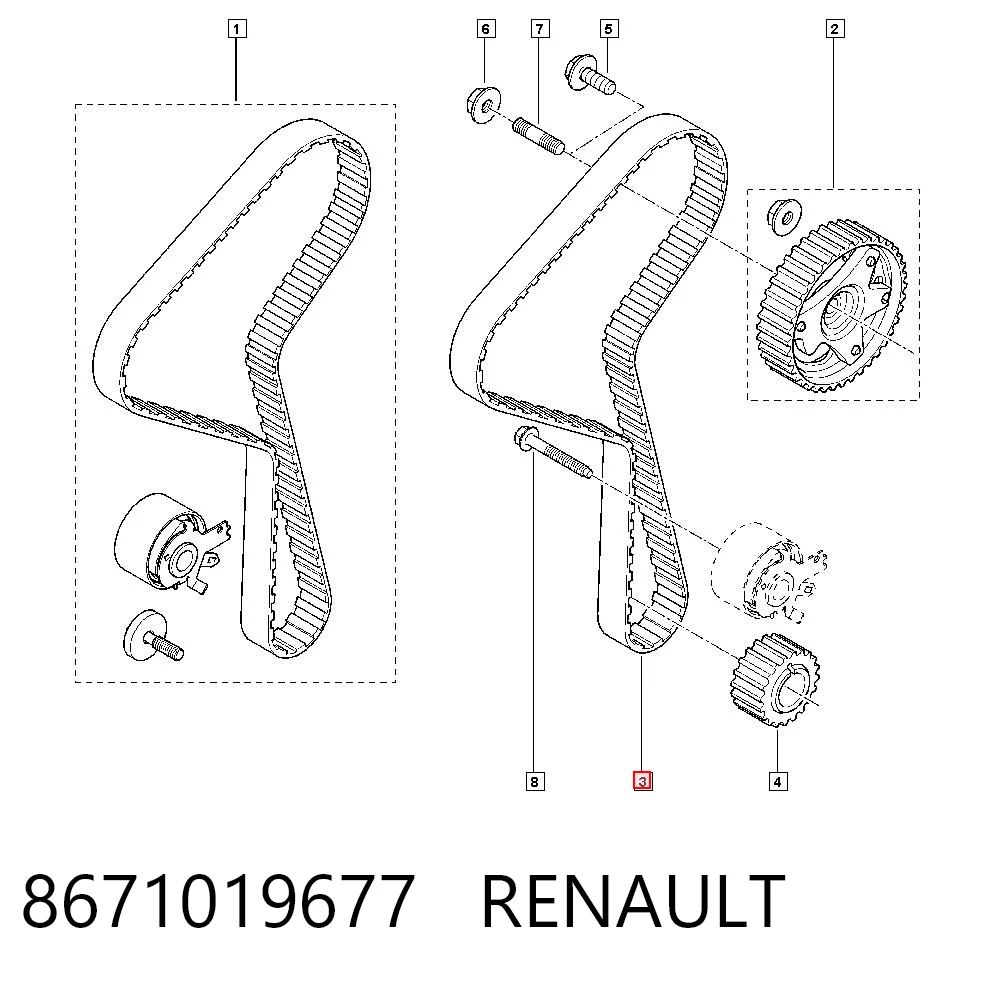 Correa de distribución 8671019677 RENAULT