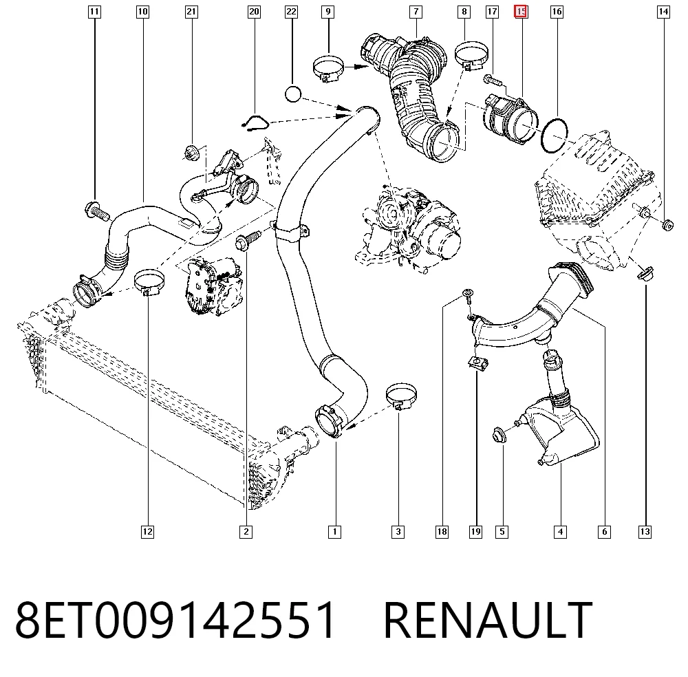 8ET009142551 Renault (RVI)