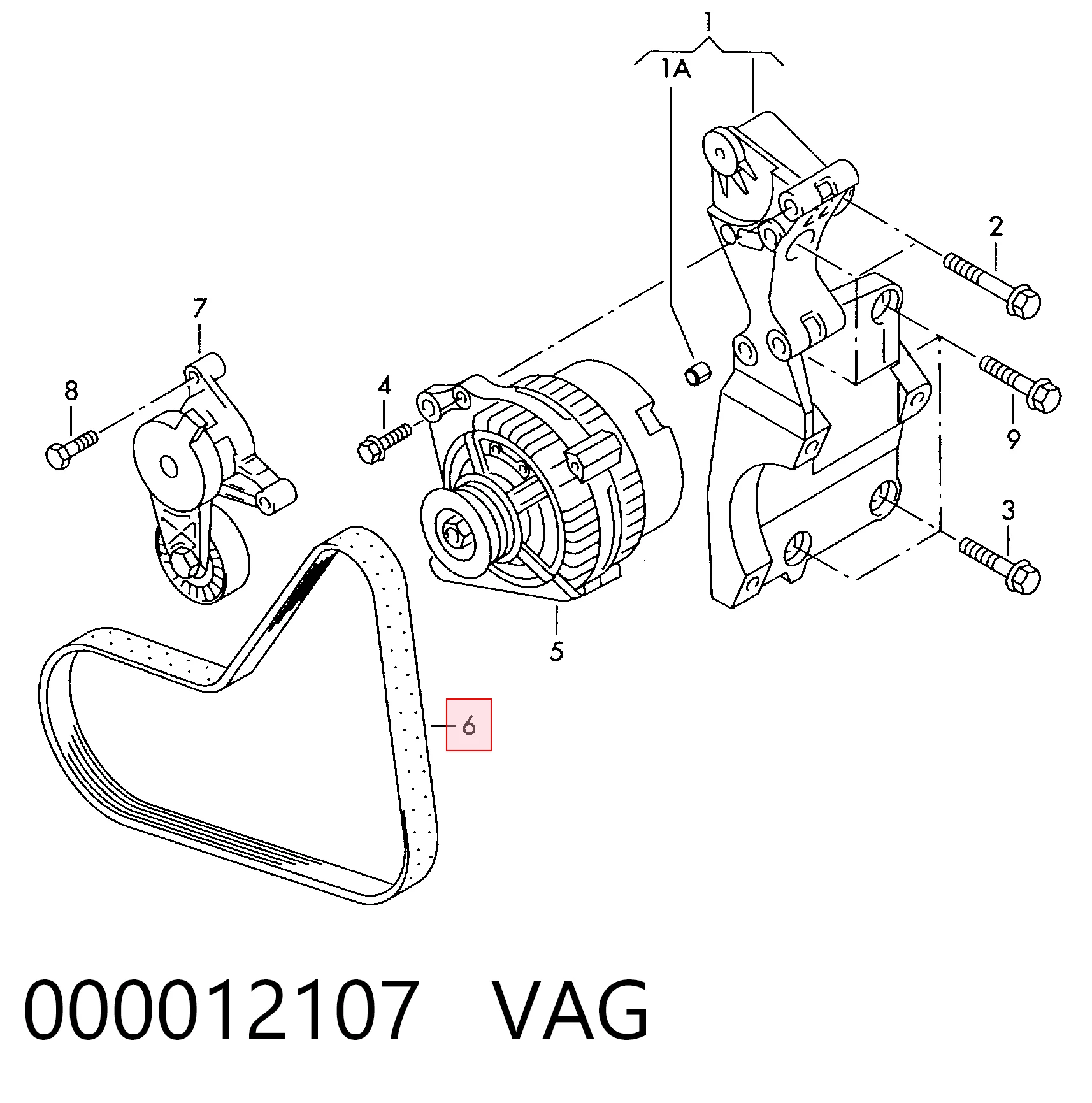 000012107 VAG Correa poly v