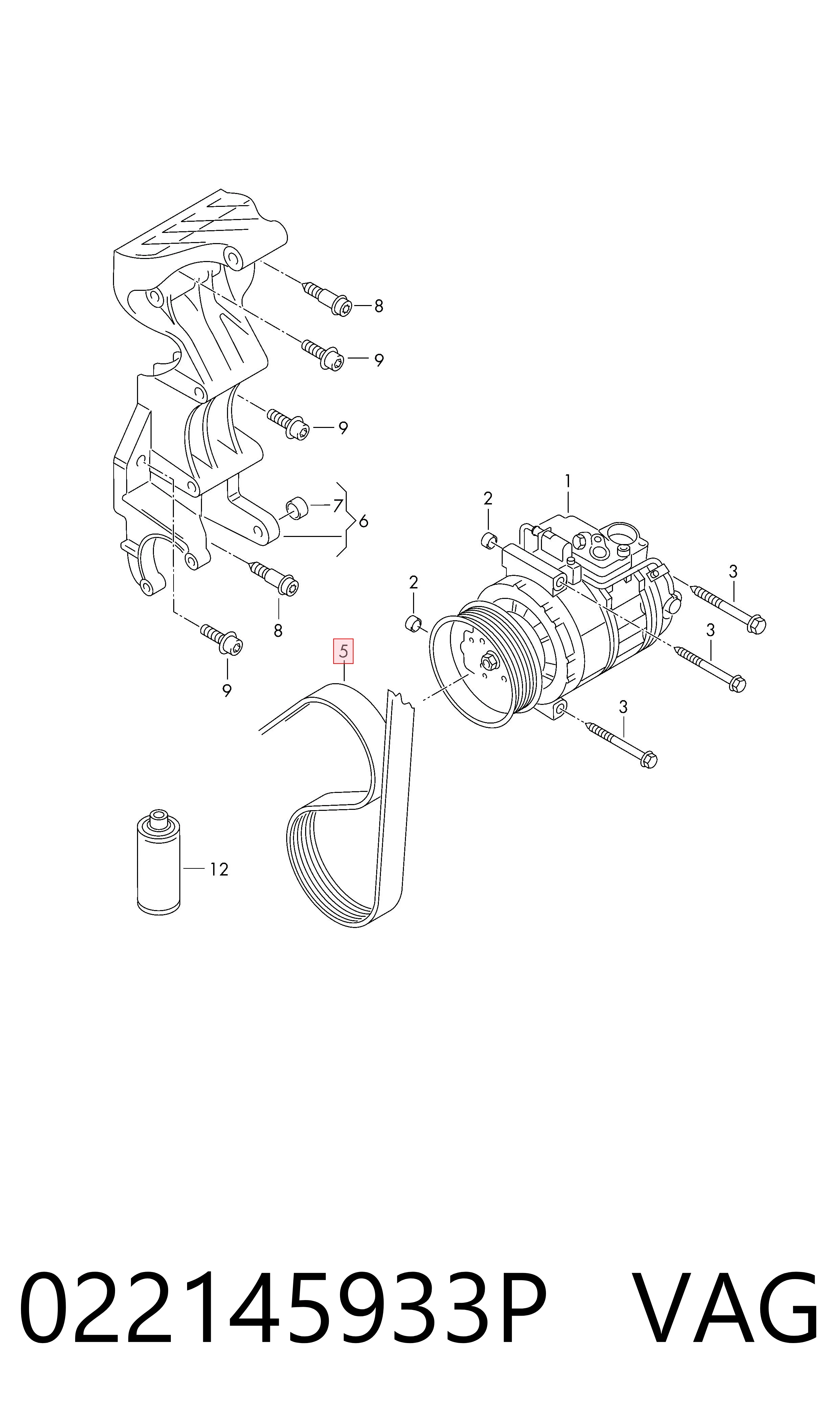 022145933P VAG Correa poly v