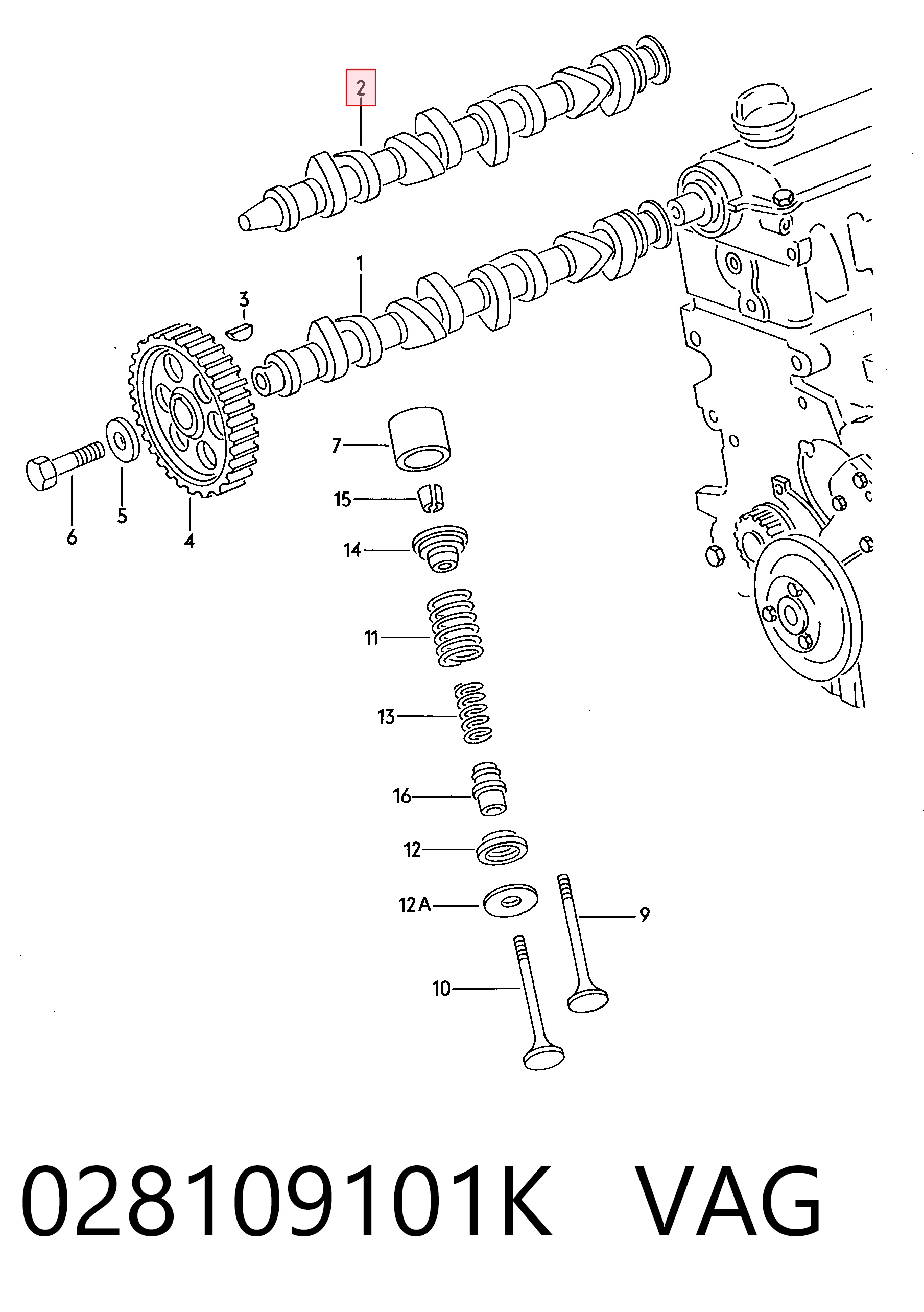 Árbol de levas de entrada Seat Ibiza II (1993-1999)