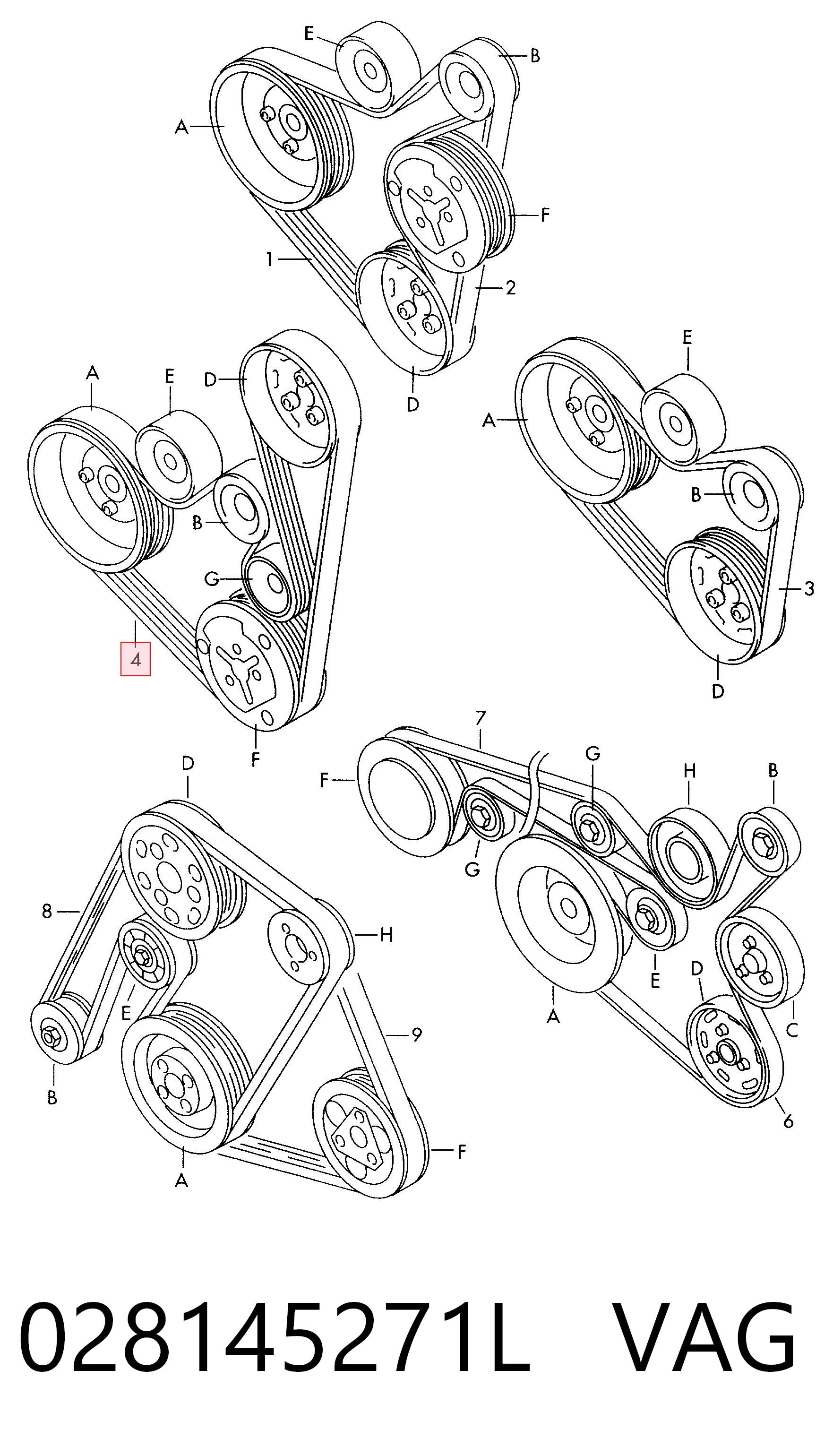 028145271L VAG Correa poly v
