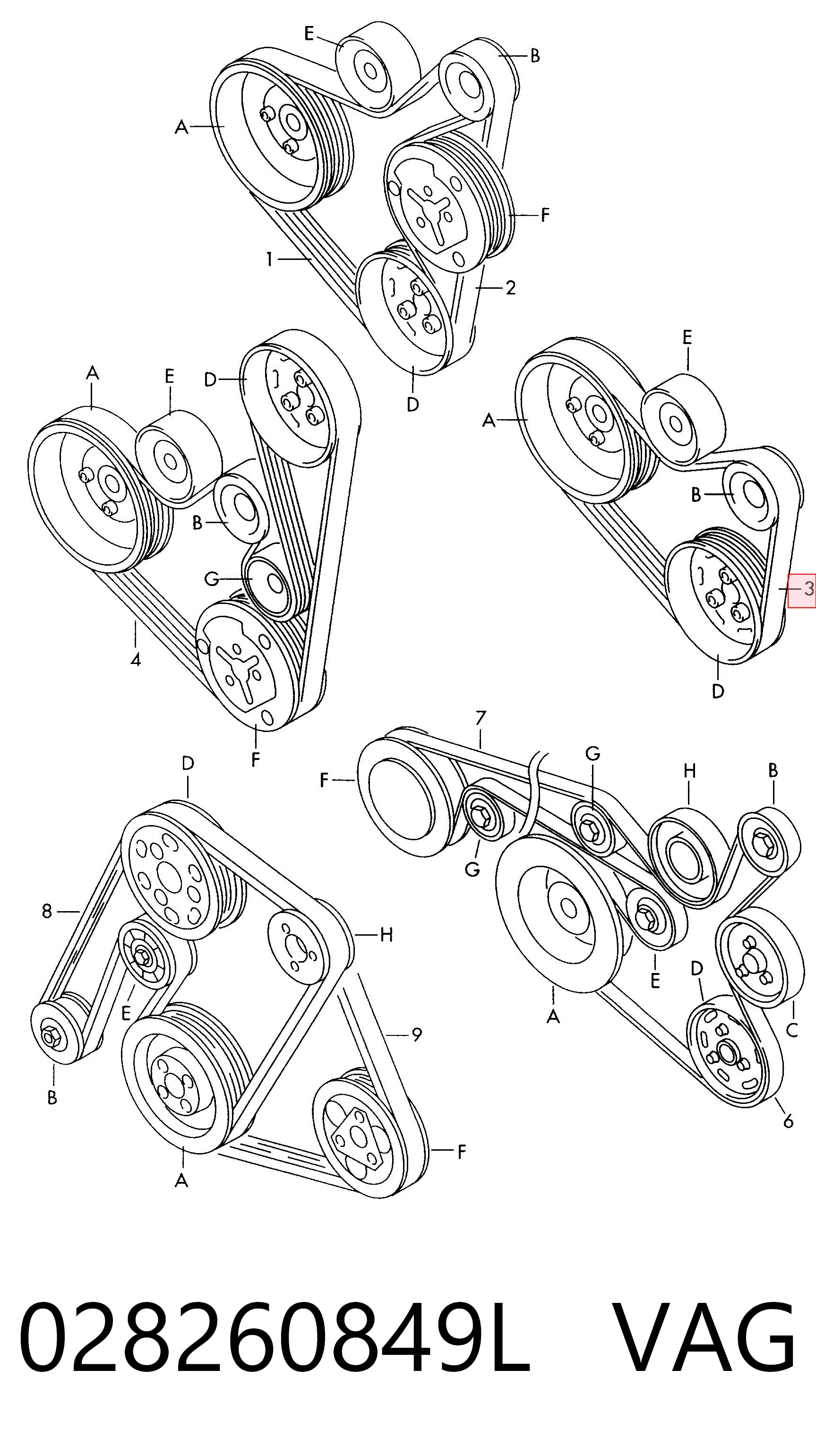 028260849L VAG Correa poly v