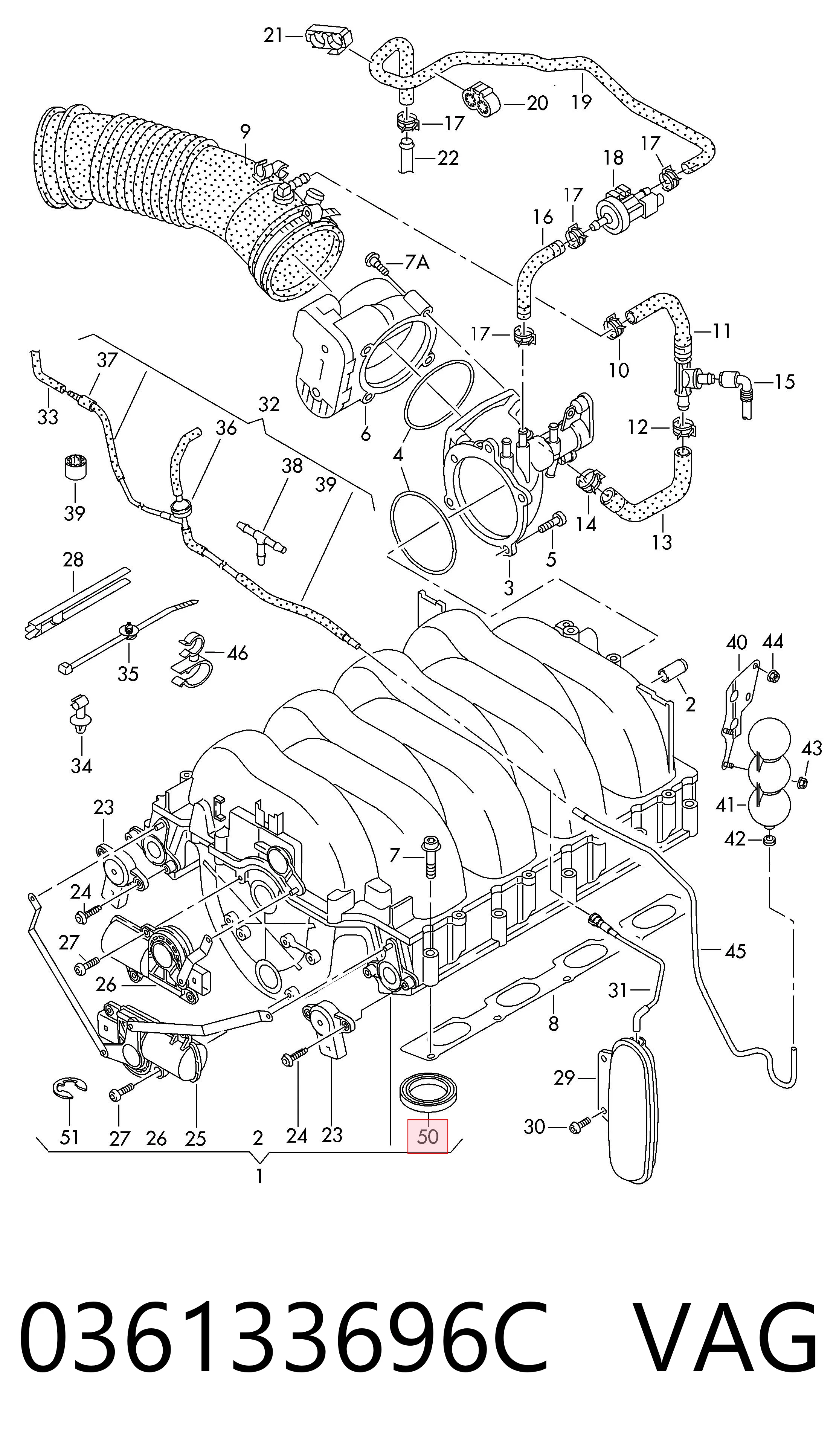 036133696C VAG 