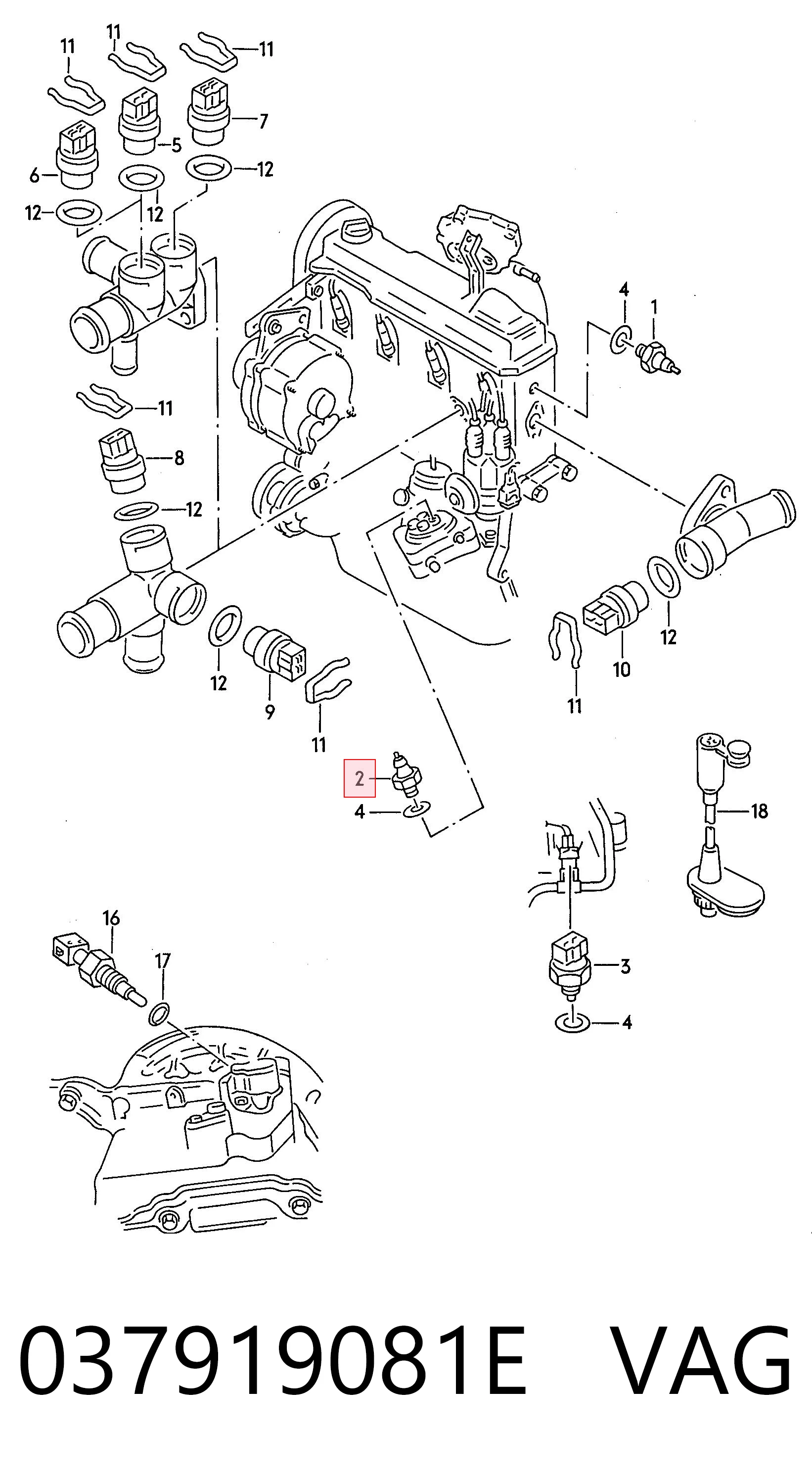 037919081E VAG