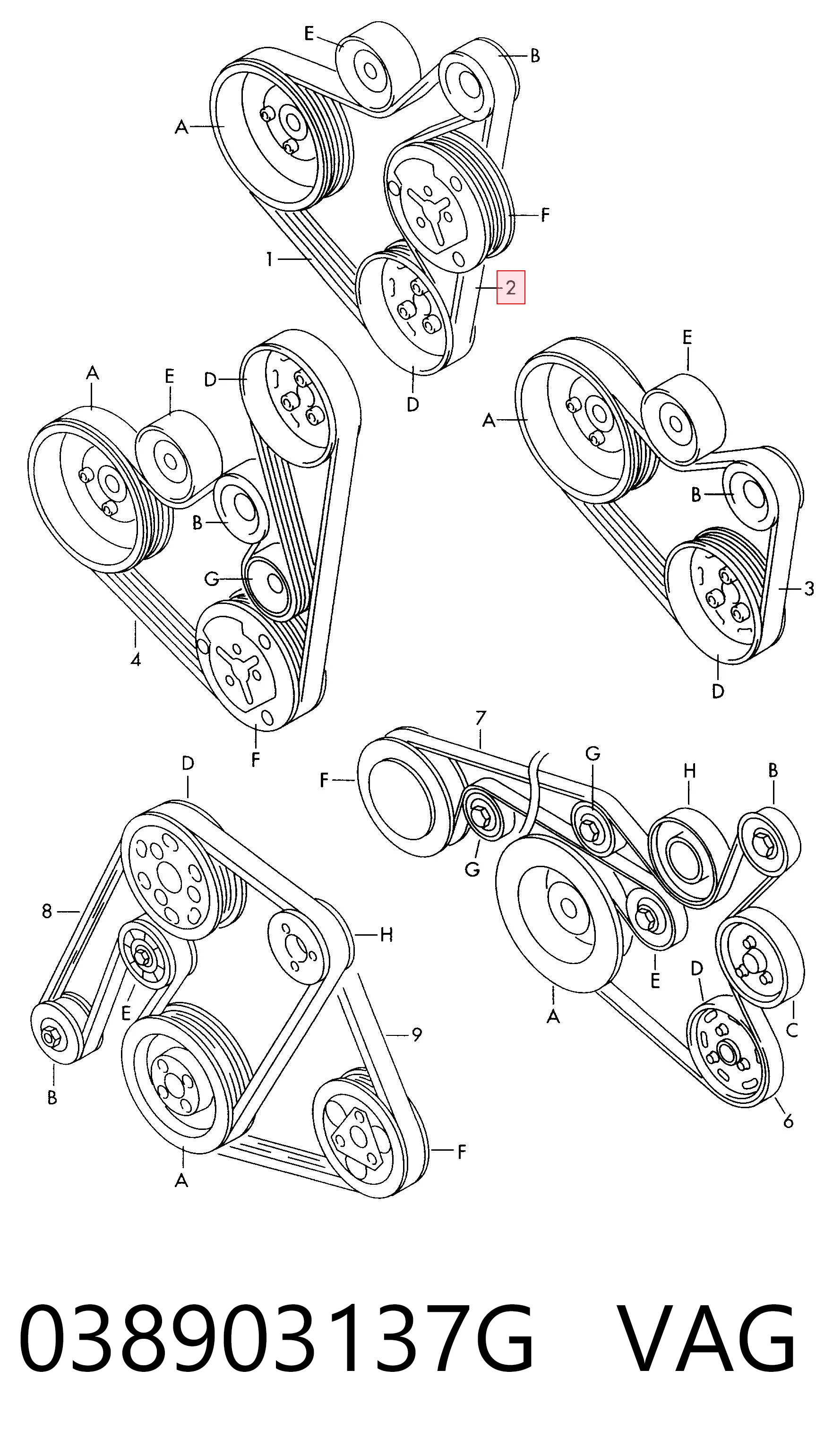 038903137G VAG Correa poly v
