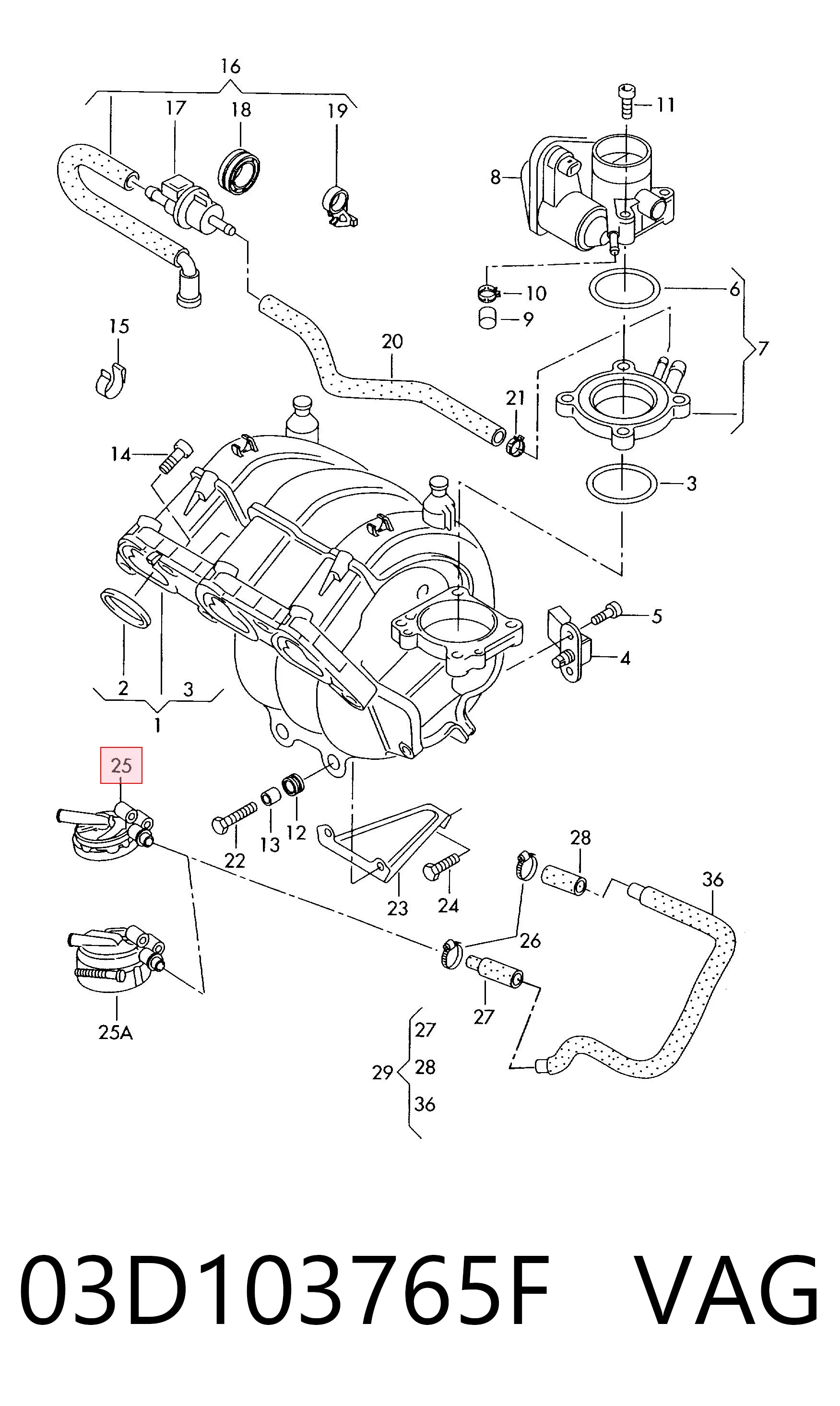 03D103765F VAG