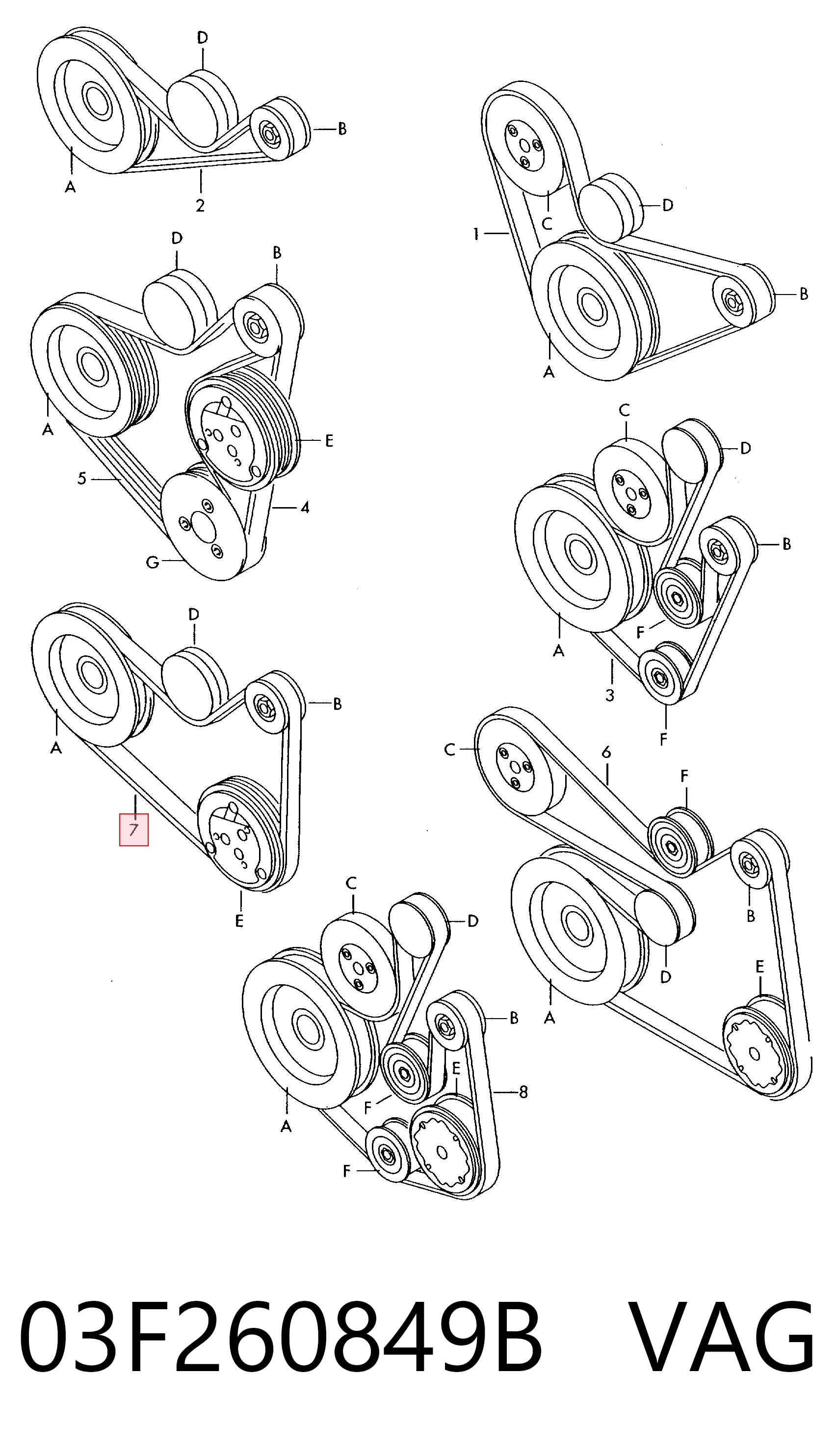 03F260849B VAG Correa poly v