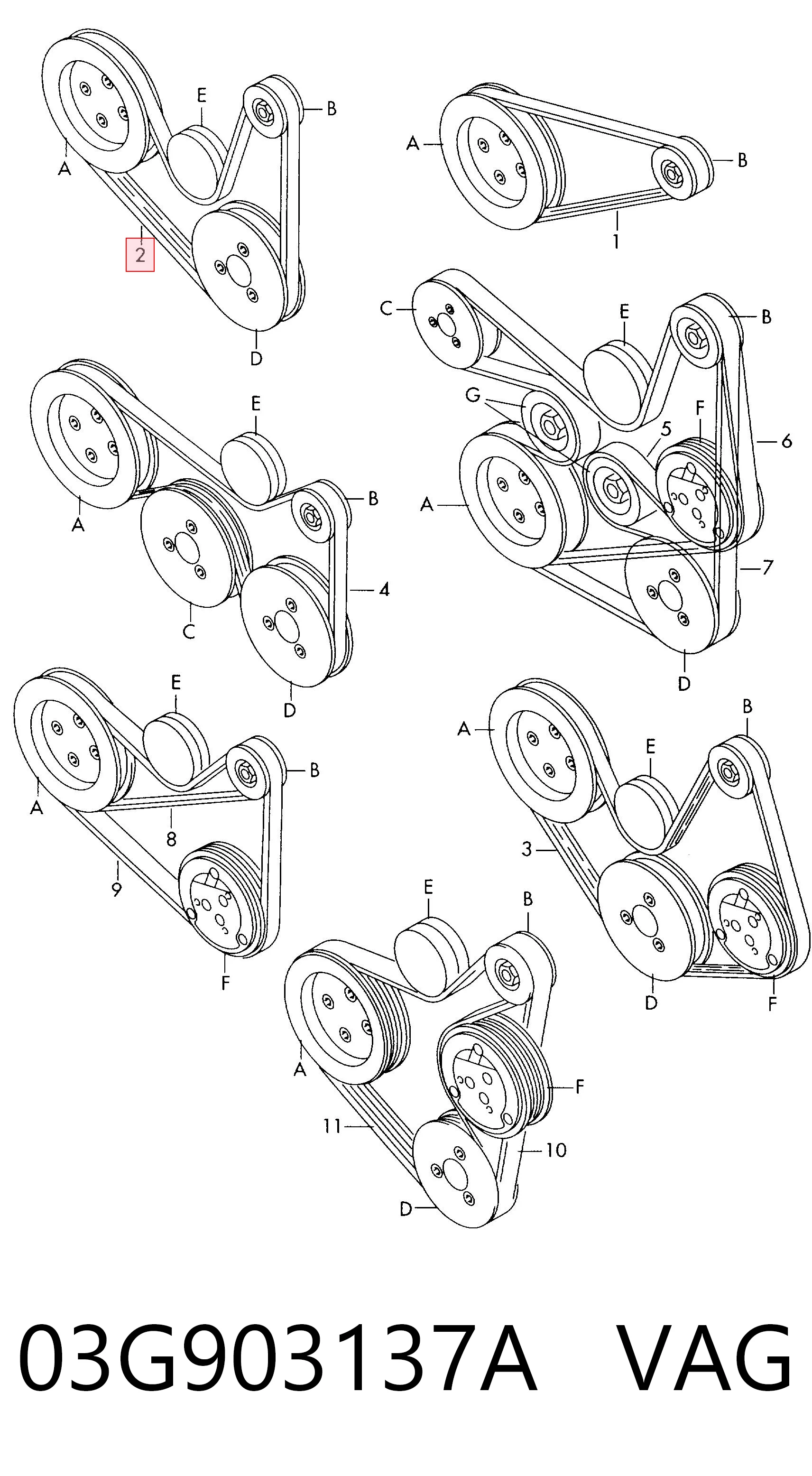 03G903137A VAG Correa poly v