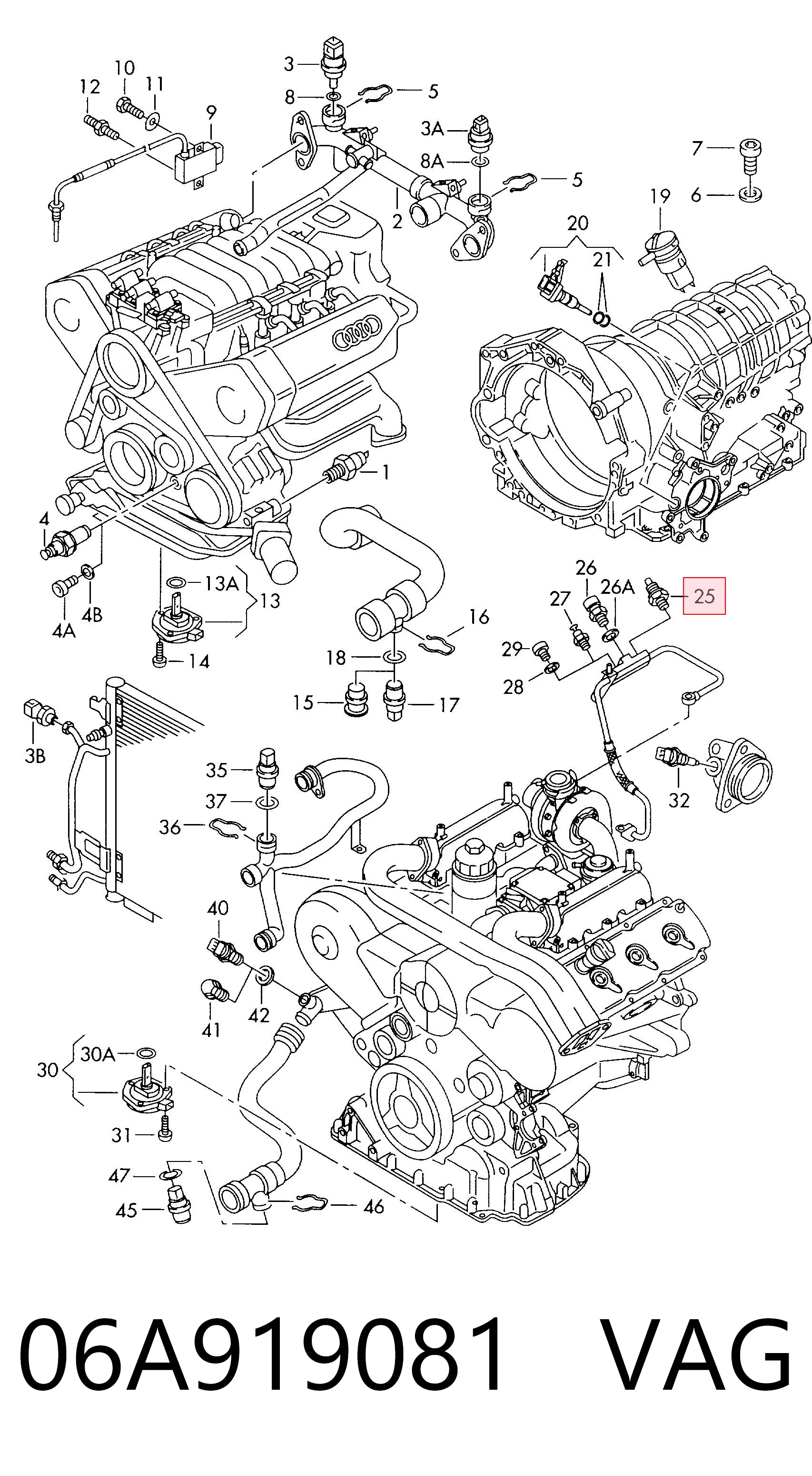 06A919081 VAG