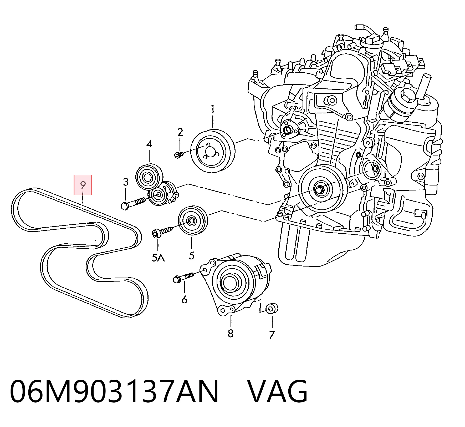 06M903137AN VAG Correa poly v