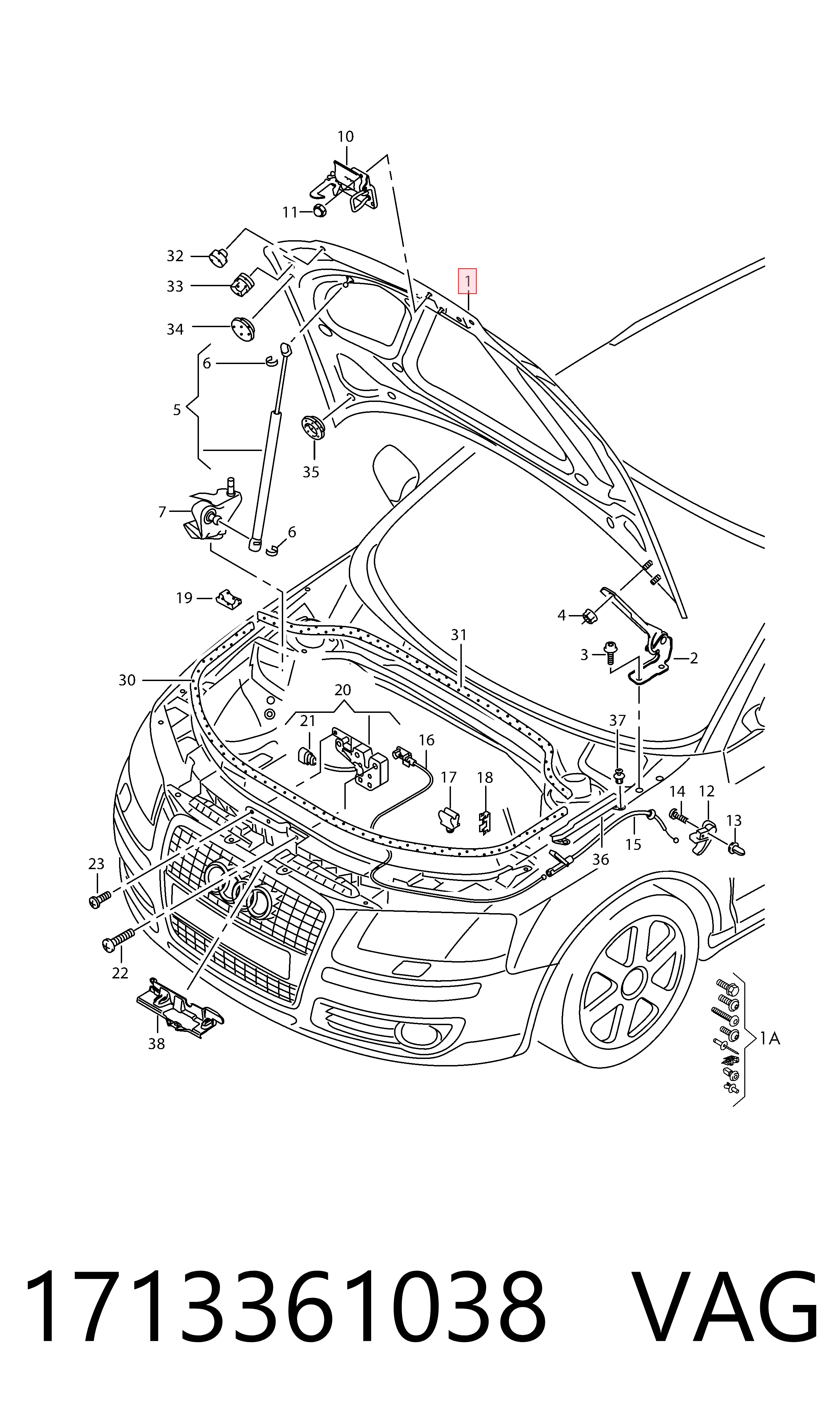 Capó del motor Audi A3 hatchback (8P1) (2003 - 2012) precio, desde 215,66 EUR