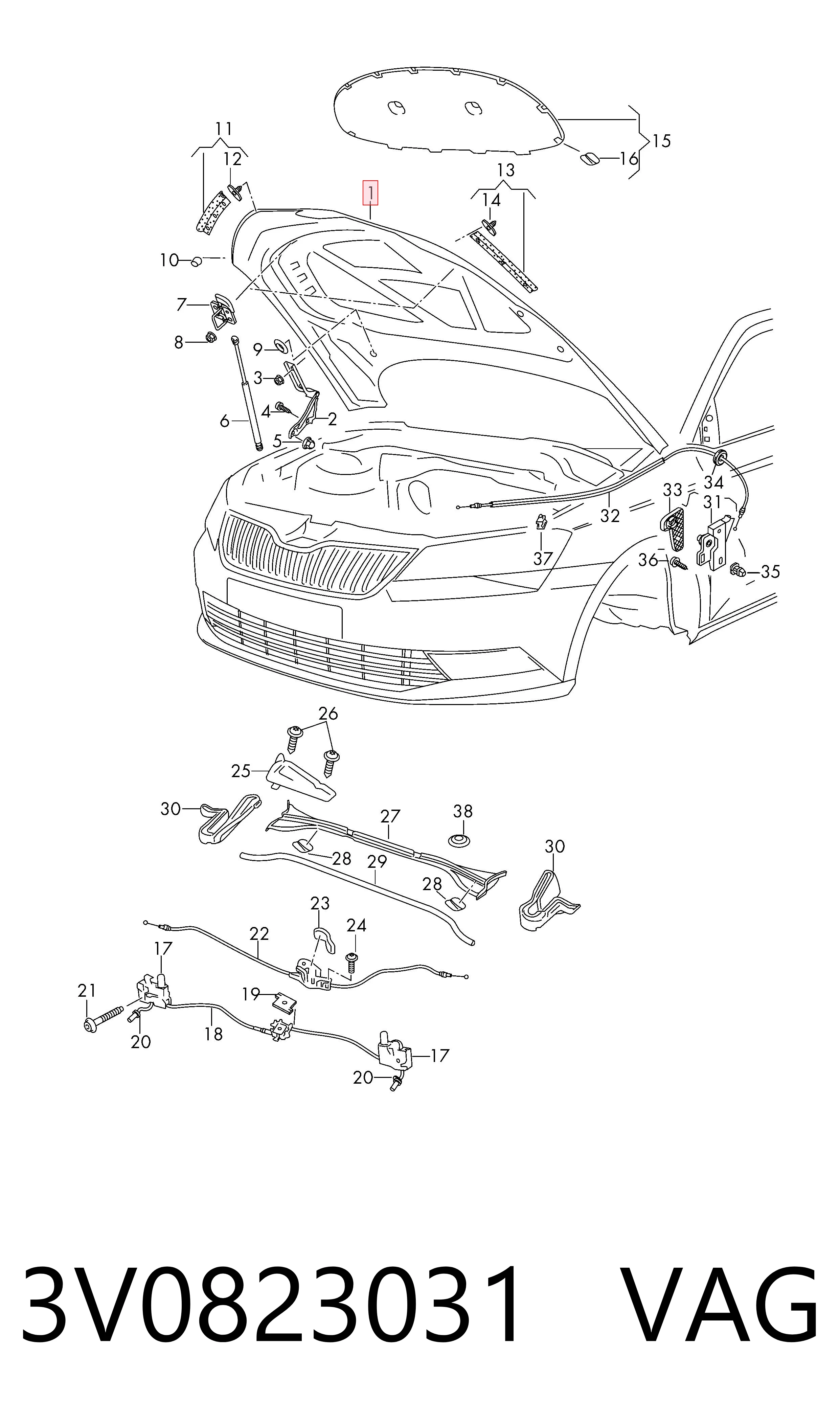 Capó del motor Skoda SuperB III liftback (3V3) (2015 - 2026) precio, desde 391,80 EUR
