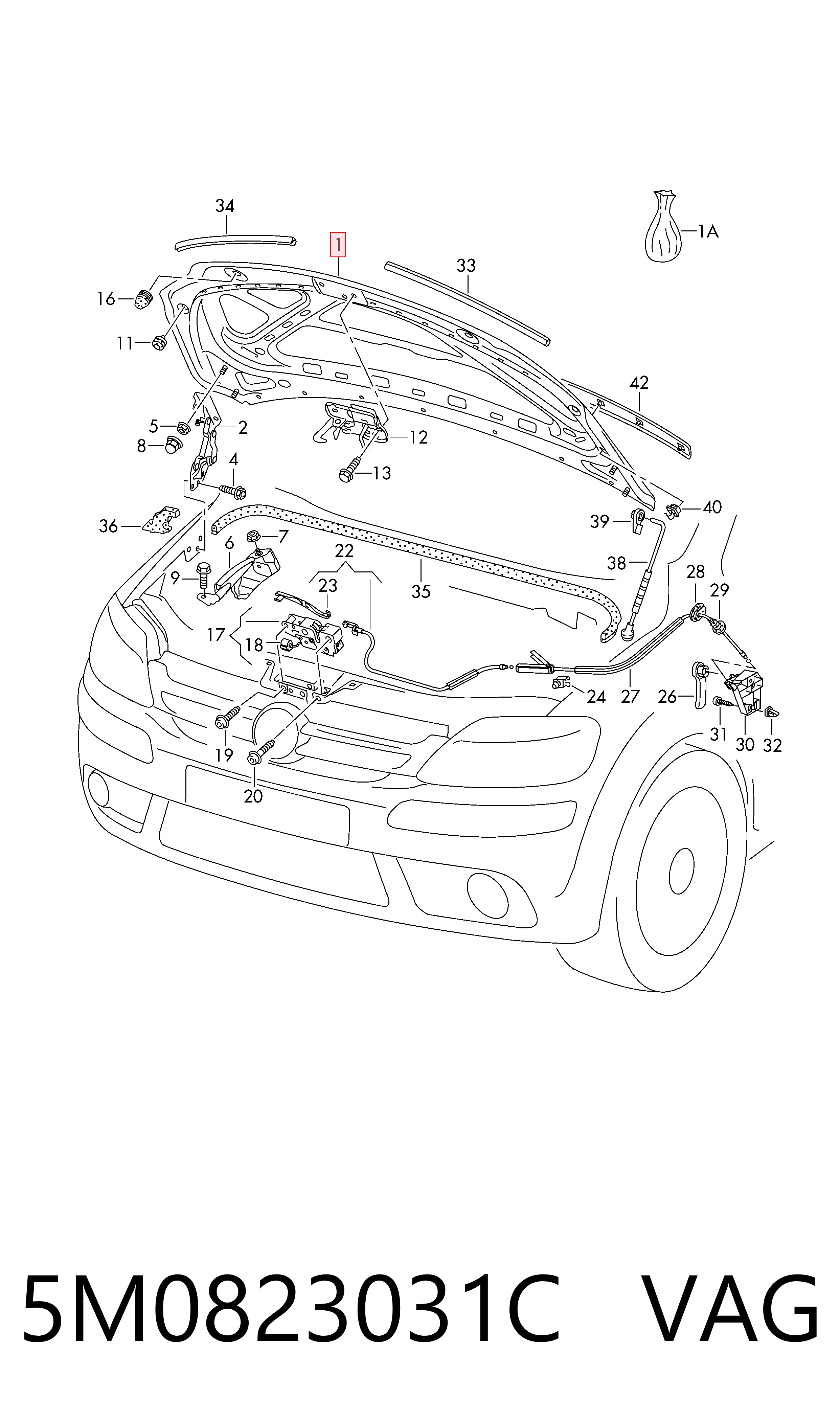 Capó delantero para Volkswagen Golf PLUS V 5M1, 521