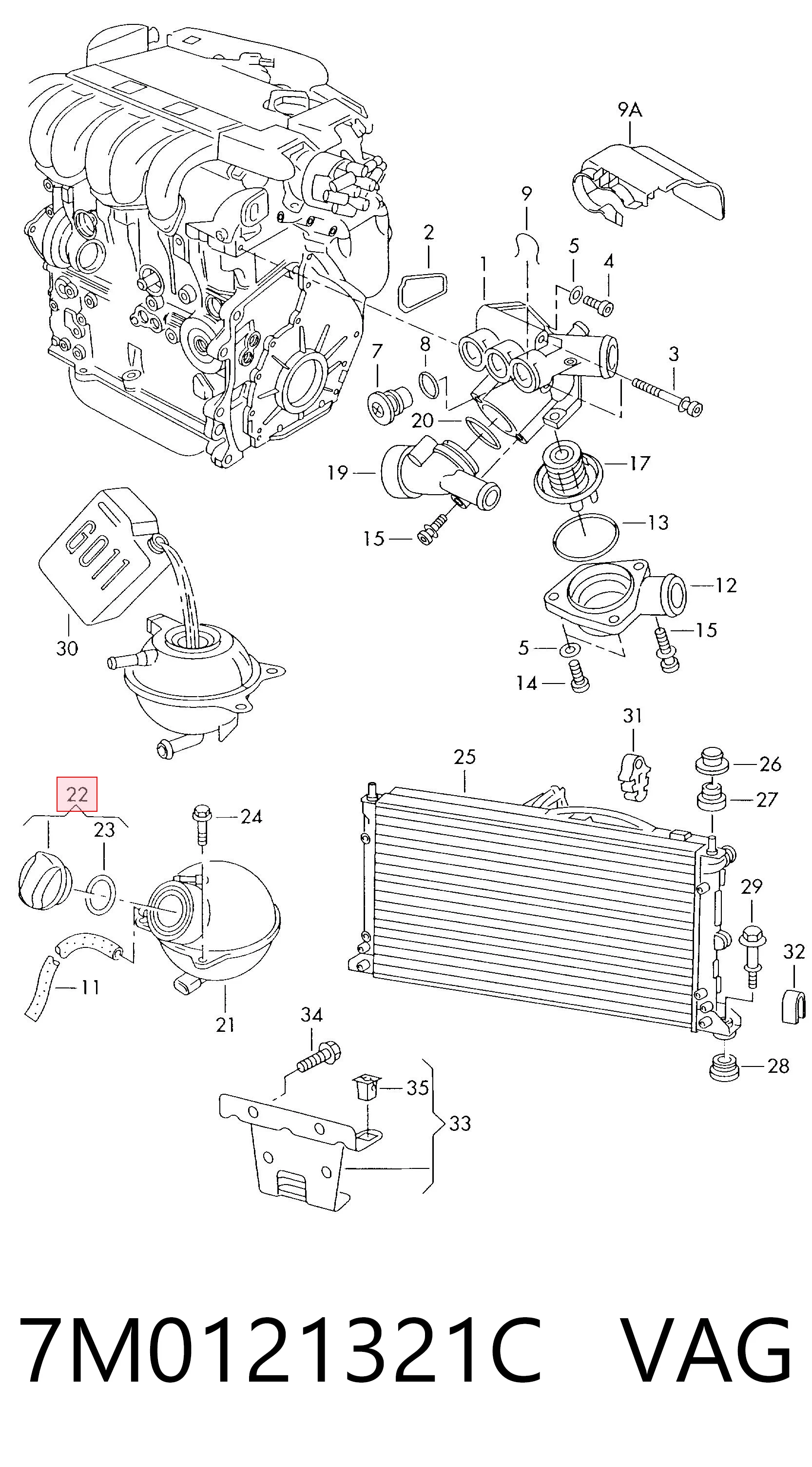 Tapa del radiador 7M0121321C VAG