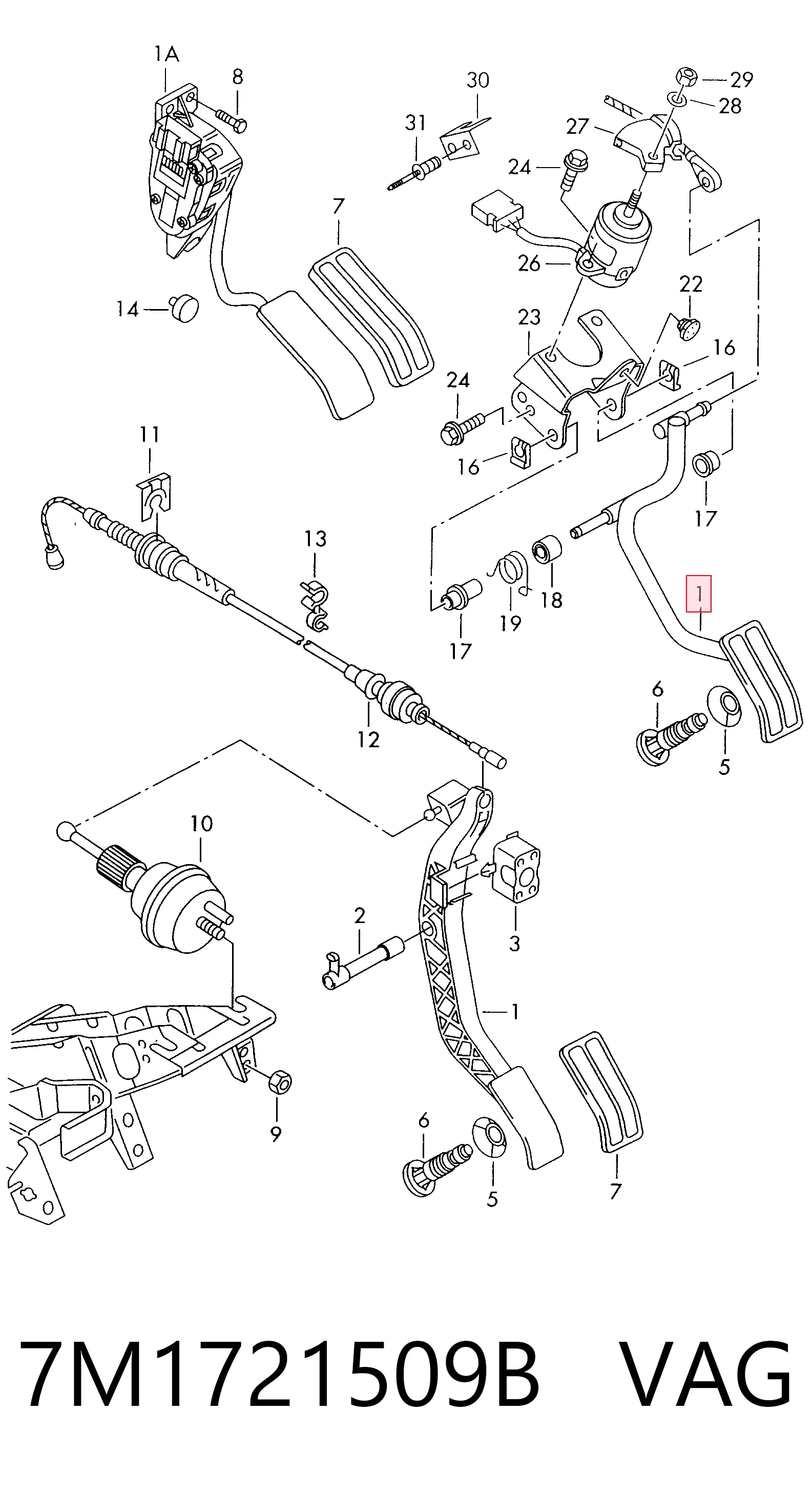 7M1721509B VAG