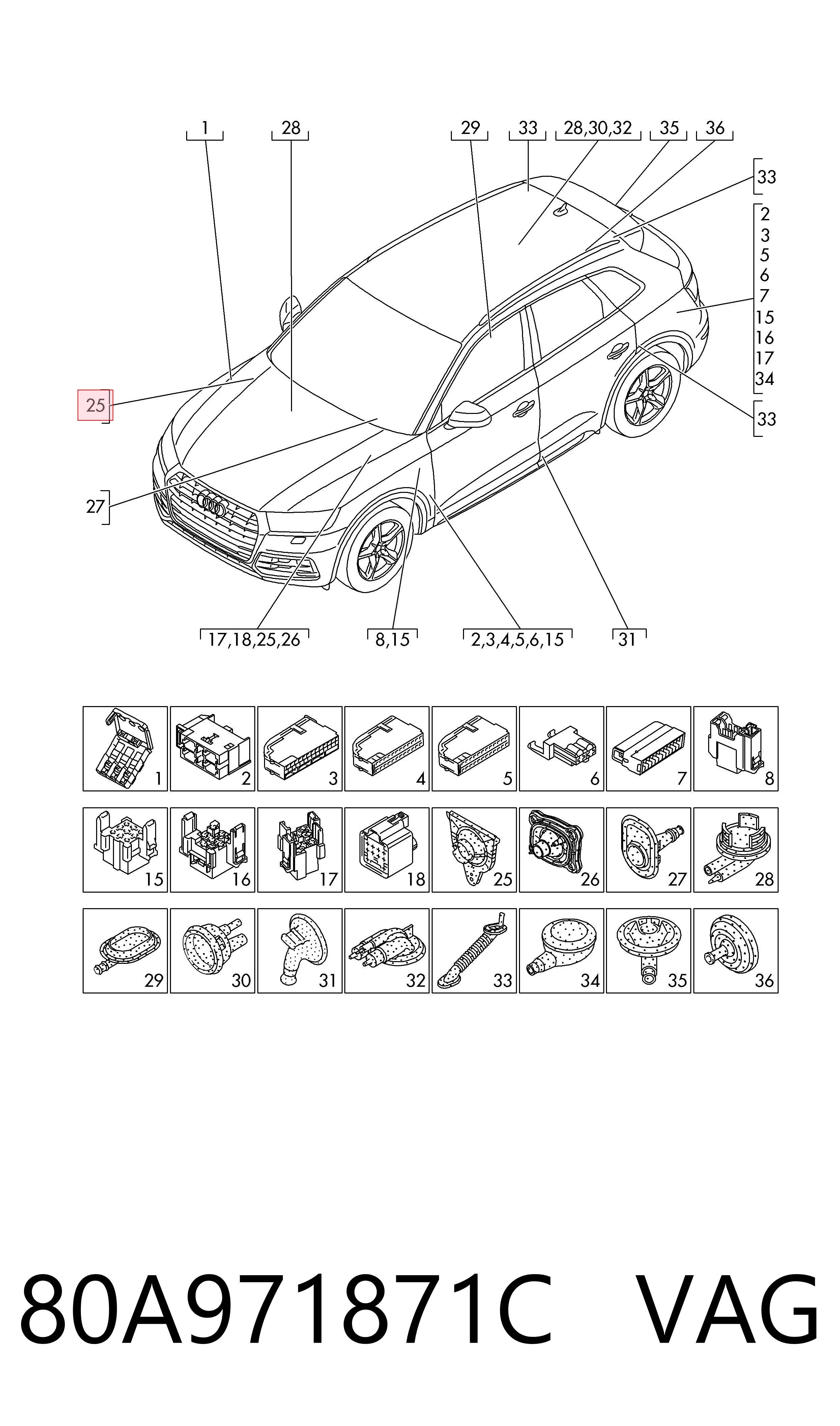 80A971871C VAG 