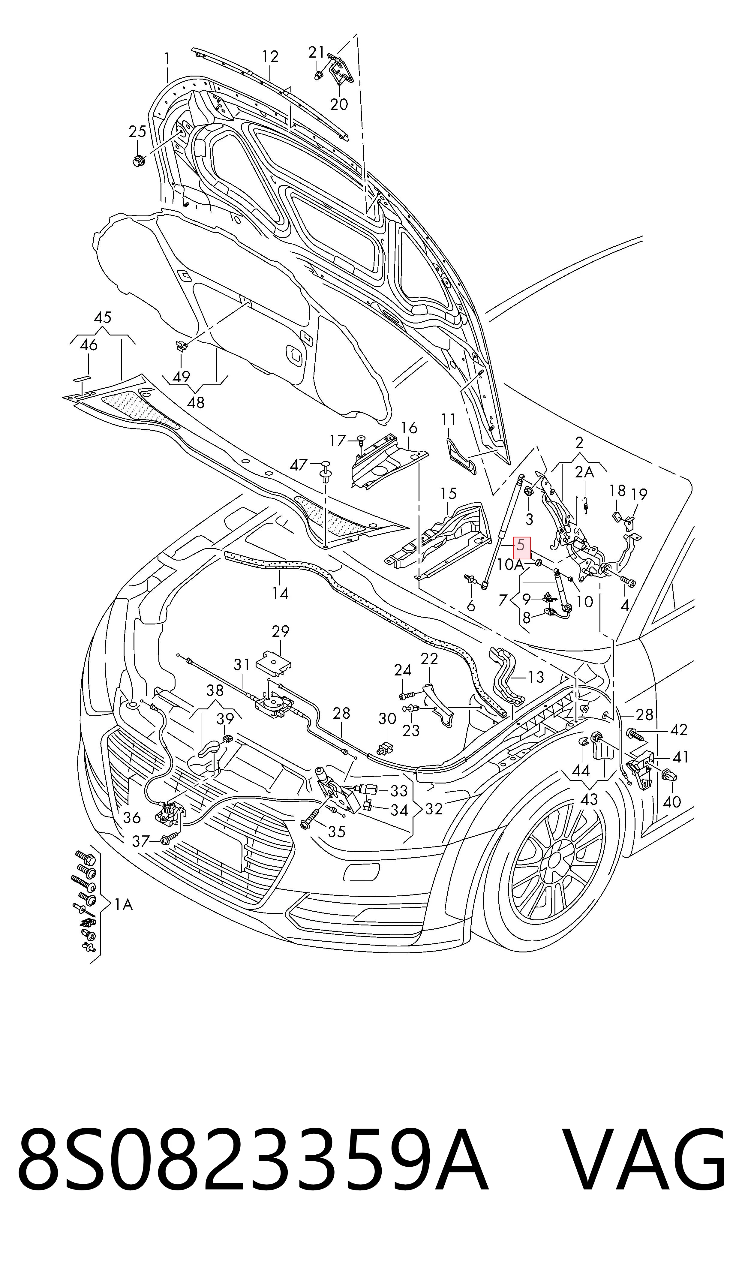 Muelle neumático, tapa delantera Audi TT coupé (FV3, FVP) (2014 - 2026) precio, desde 23,53 EUR