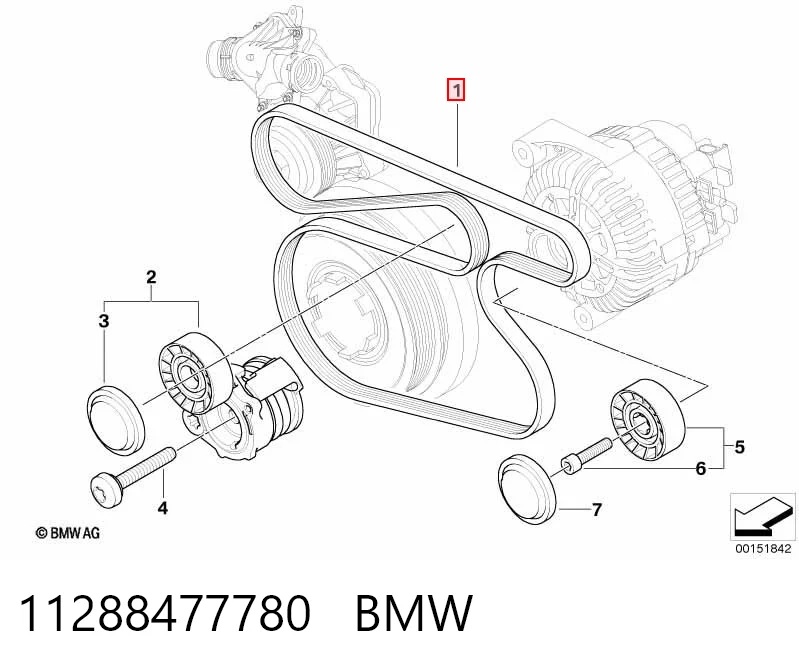11288477780 BMW Correa poly v