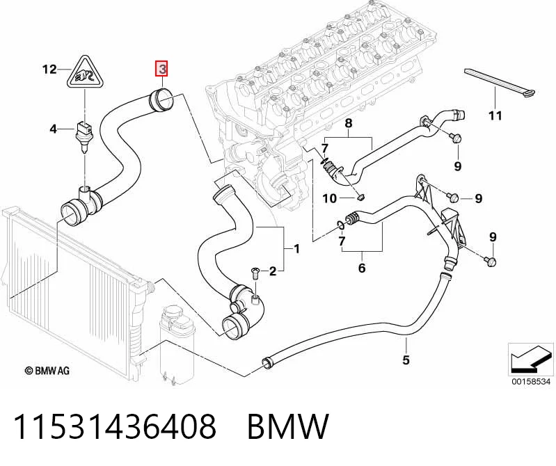 11531436408 BMW Manguera inferior del radiador