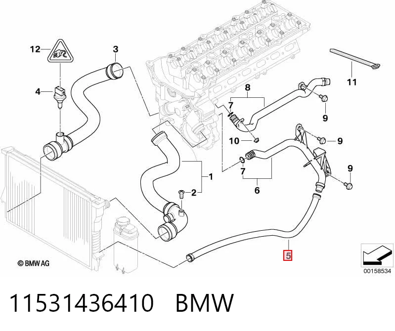 11531436410 BMW Manguera inferior del radiador