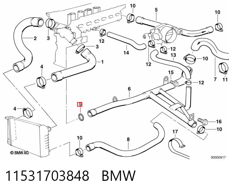 11531703848 BMW