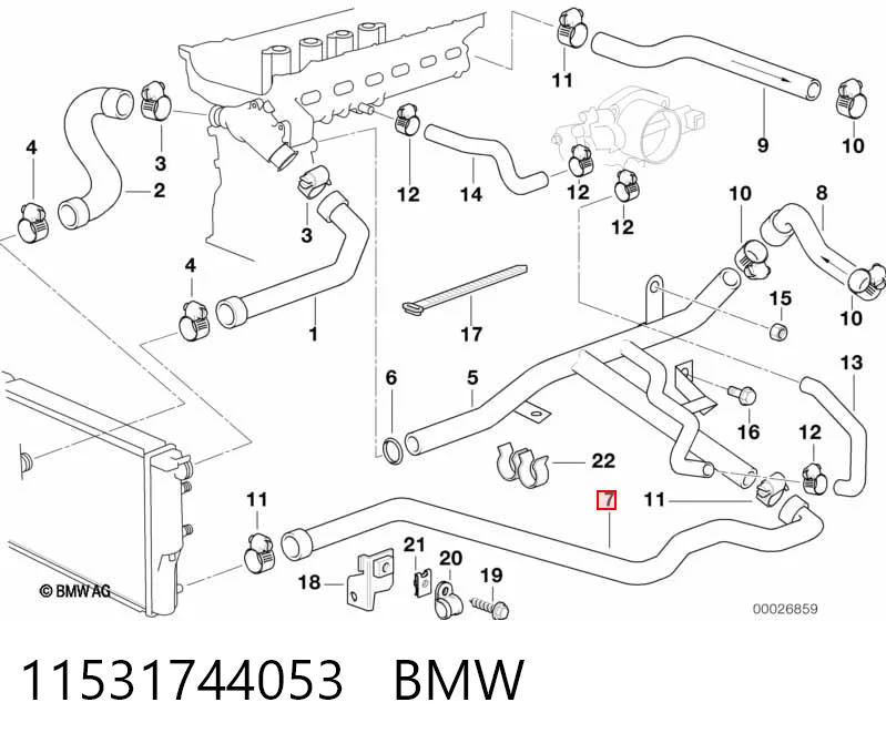 11531744053 BMW Manguera inferior del radiador