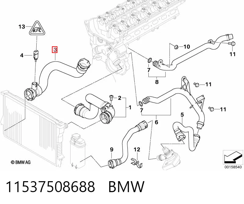 11537508688 BMW Manguera inferior del radiador
