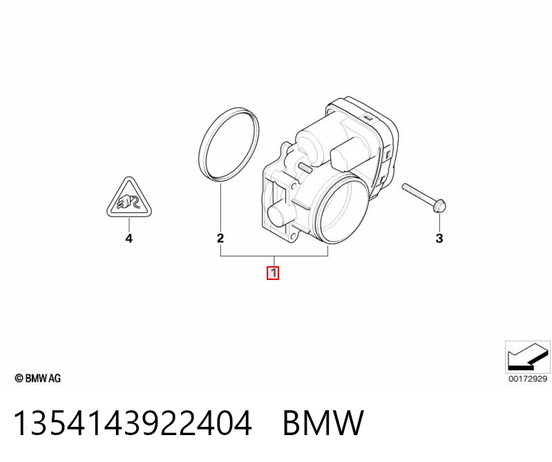 1354143922404 BMW Mariposa de admisión