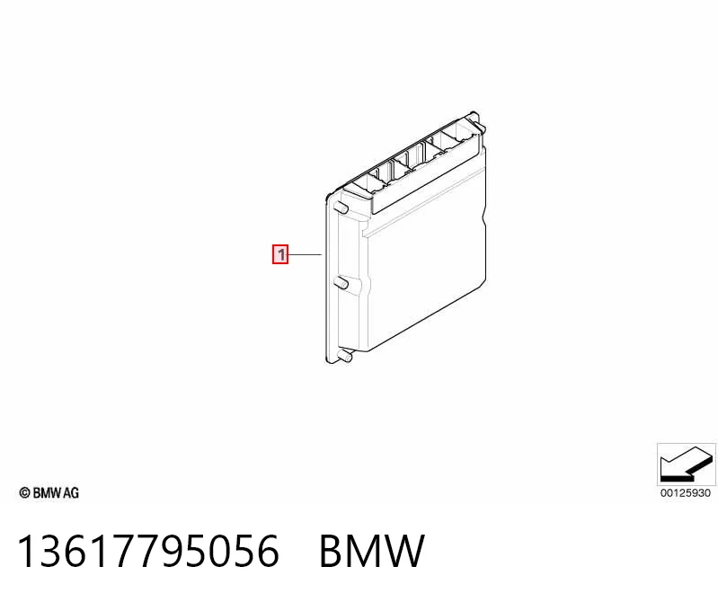 13617795056 BMW