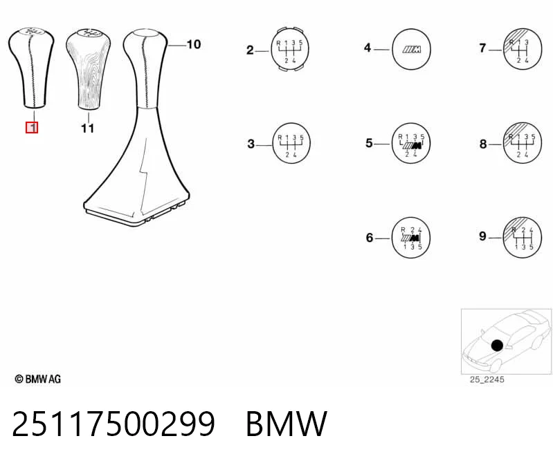 25117500299 BMW