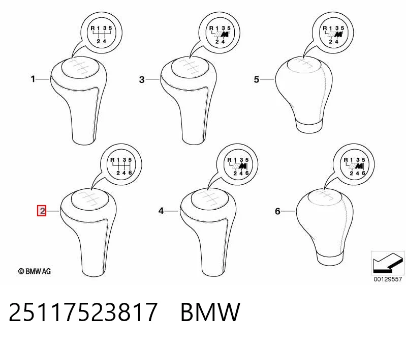 25117523817 BMW