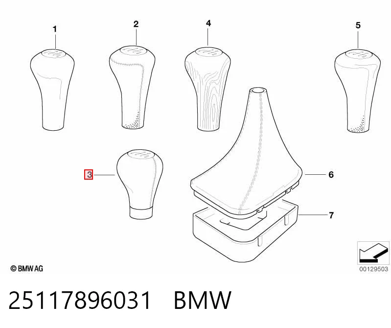25117896031 BMW