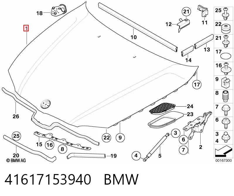41617153940 BMW Capó delantero