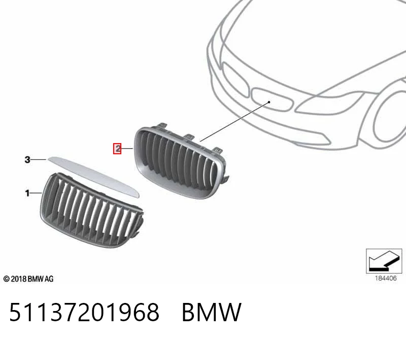 51137201968 BMW Rejilla derecha del radiador