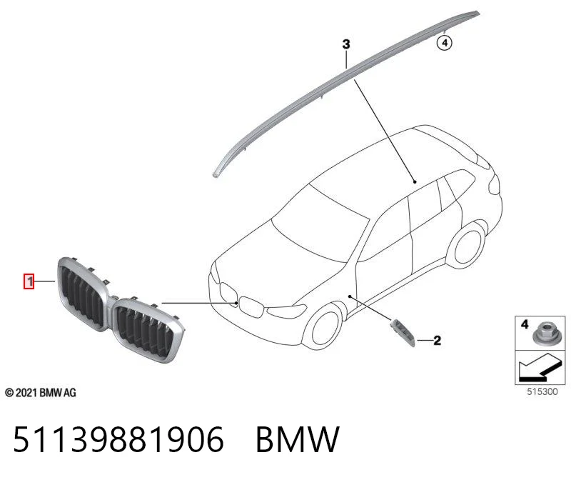 51139881906 BMW Calandra