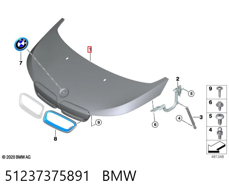 51237375891 BMW
