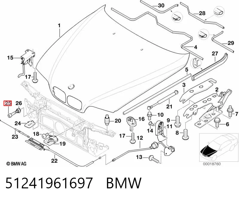 51241961697 BMW