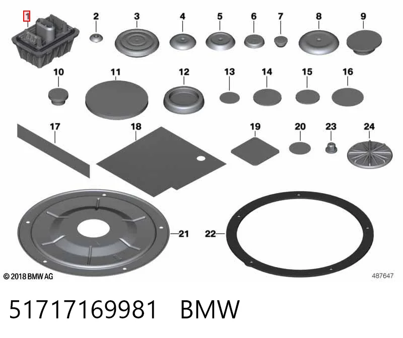 51717169981 BMW Cojín inferior del gato