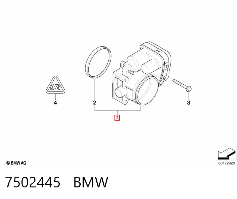 7502445 BMW Mariposa de admisión