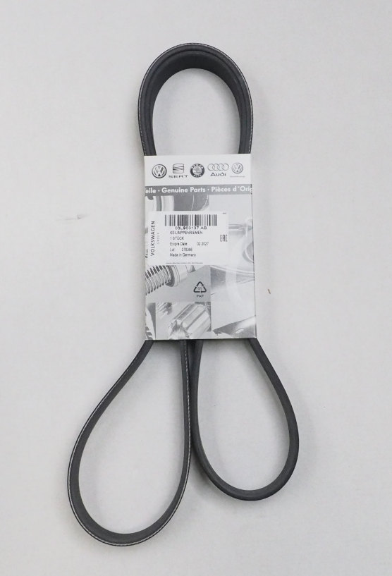 03L903137AB VAG Correa poly v