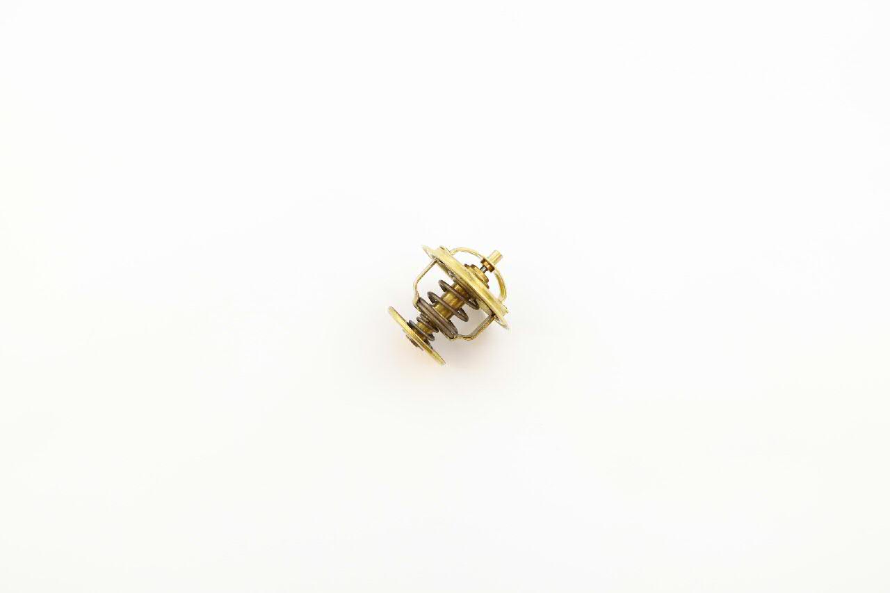 Termostato 056121113D VAG