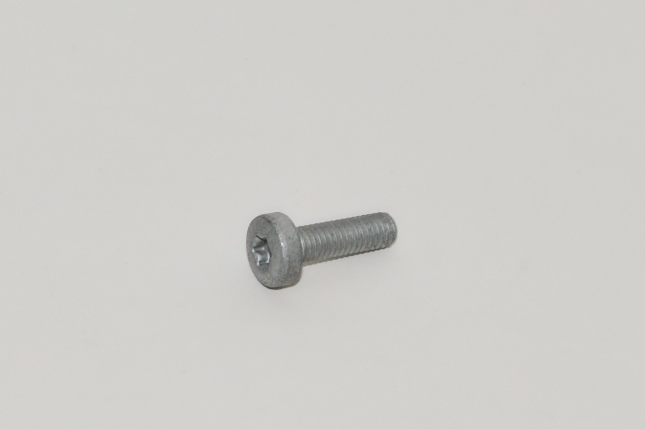 N10124306 VAG Tornillo